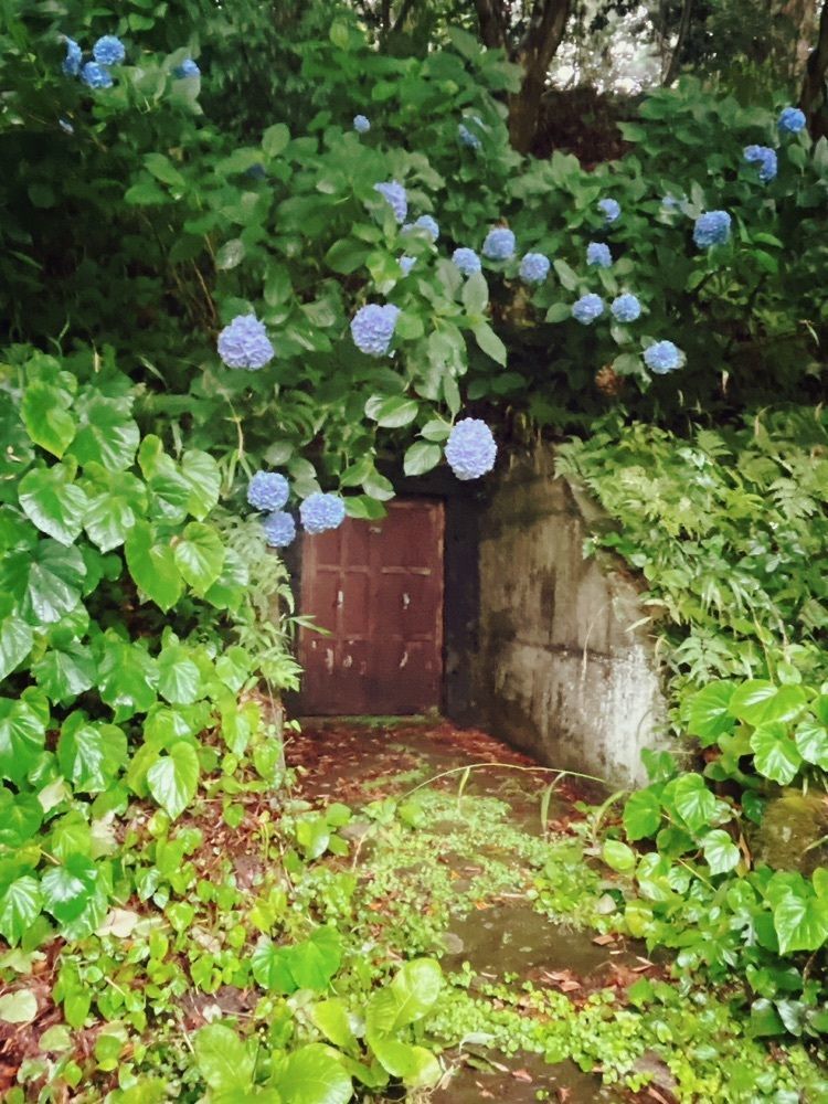 猫なぎ。さんが投稿した興福寺に関する口コミの画像