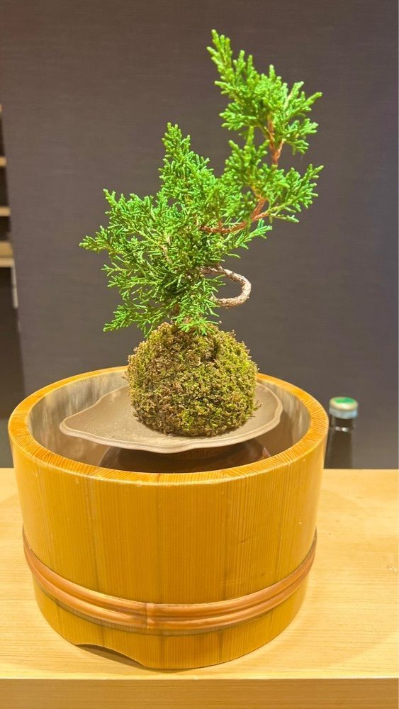 miiさんが投稿した串やごんぞう(権蔵)に関する口コミの画像