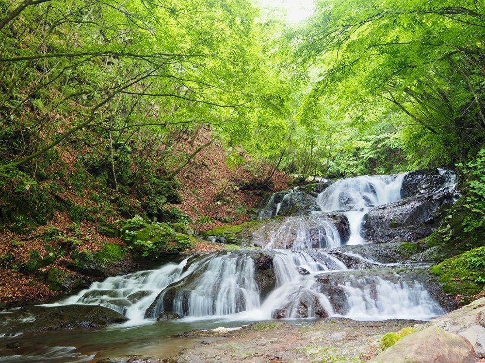 yuyuさんが投稿した魚止めの滝に関する口コミの画像