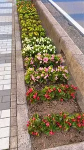 やまにし