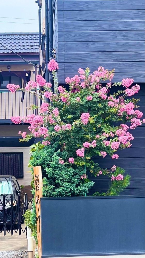 miiさんが投稿したミニストップ 川越石田店に関する口コミの画像