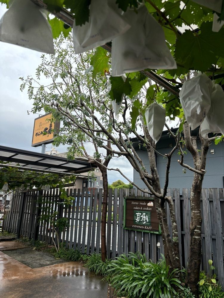 luckyさんが投稿したアントルメ菓樹に関する口コミの画像