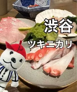 ツキニカリ（tsukinikari）