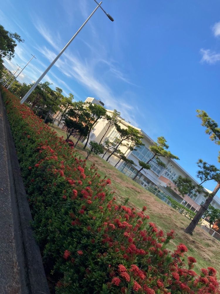 ゴンさんが投稿した沖縄県総合運動公園に関する口コミの画像