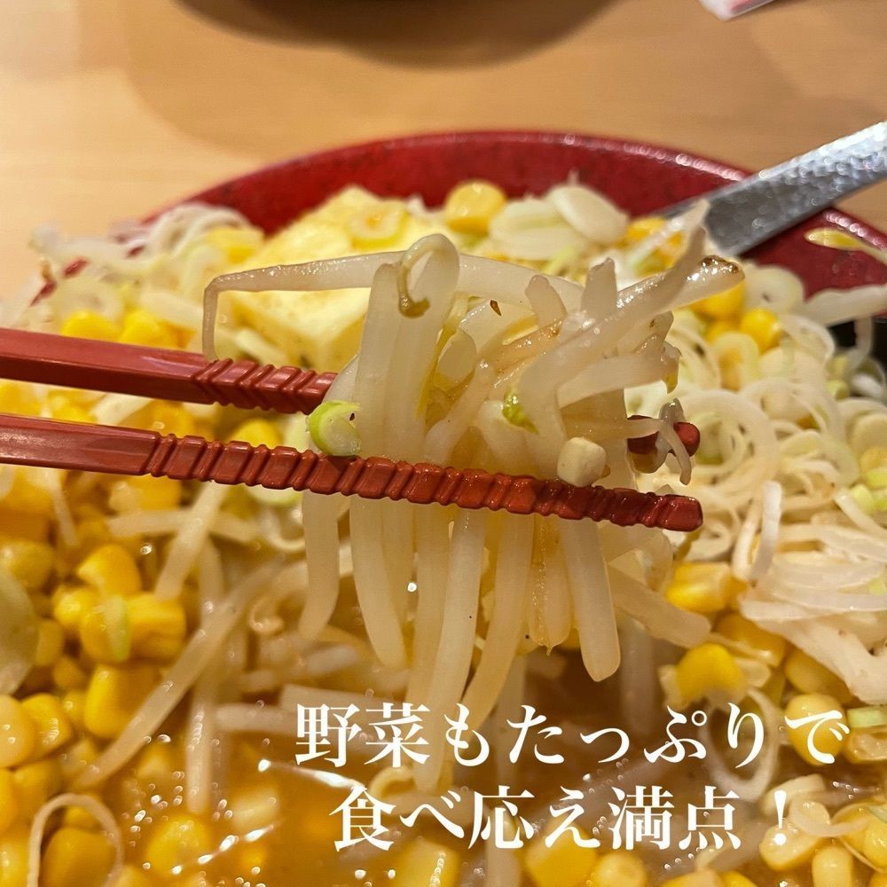 ひとみんさんが投稿した札幌ラーメン みそ吟 長居公園店に関する口コミの画像