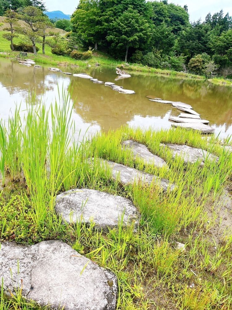 猫なぎ。さんが投稿した山王山温泉 瑞泉郷（【旧店名】矢びつ温泉 瑞泉閣）に関する口コミの画像