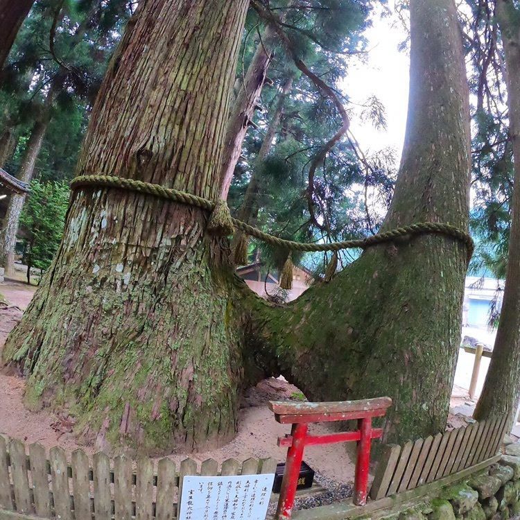 ruujunさんが投稿した室生龍穴神社周辺に関する口コミの画像