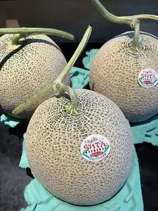 JAきょうわ直売所