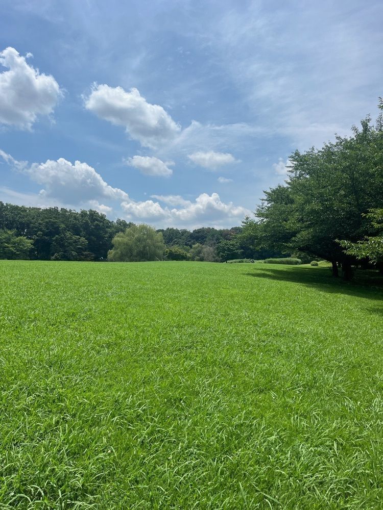 Renさんが投稿したジェラテリアに関する口コミの画像