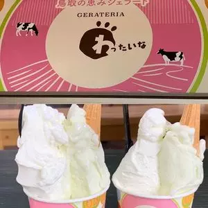 ジェラテリア わったいな（【旧店名】ジェラテリア アンミラート）