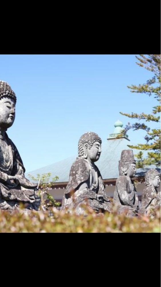 京都を巡る会・「武」さんが投稿した五智山蓮華寺に関する口コミの画像