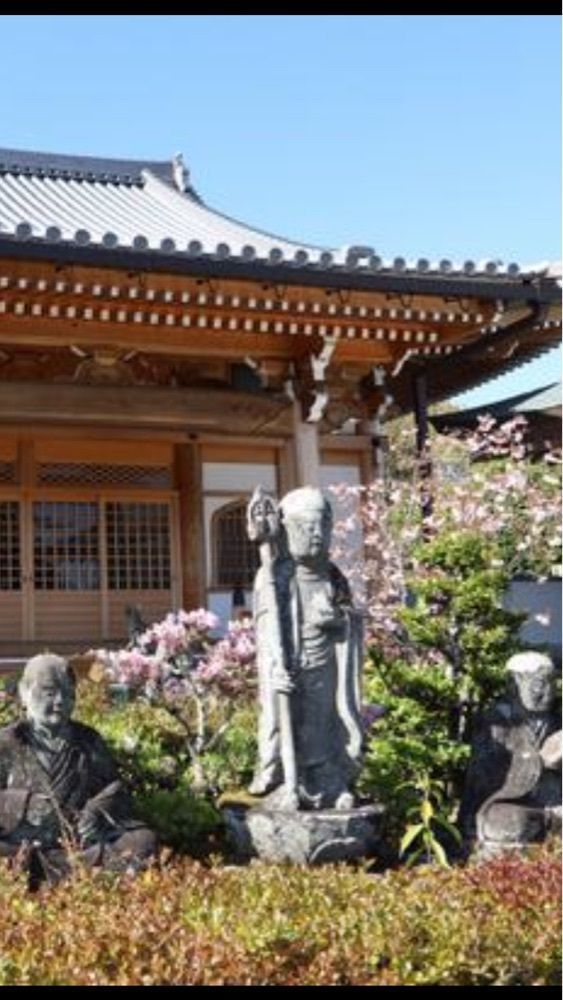 京都を巡る会・「武」さんが投稿した五智山蓮華寺に関する口コミの画像