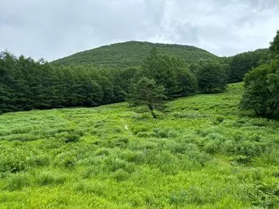 休暇村 嬬恋鹿沢(きゅうかむら つまごいかざわ)