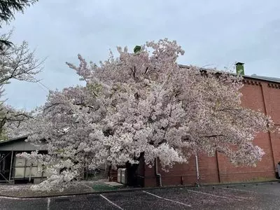 醸造試験所跡地公園