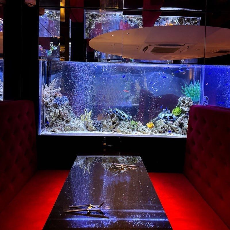 居眠ぱんださんが投稿した新宿 アクアリウムダイニング JeMareに関する口コミの画像