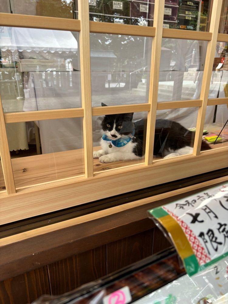 luckyさんが投稿した別所琴平神社に関する口コミの画像