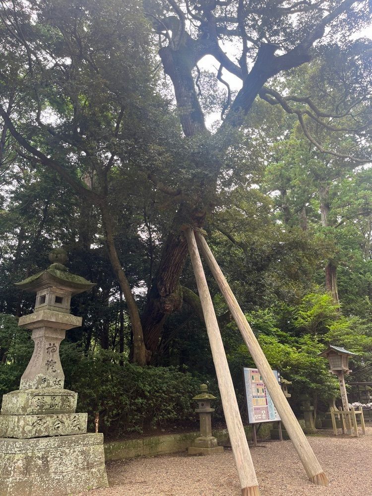 Renさんが投稿した一休（ヒトヤスミ）に関する口コミの画像