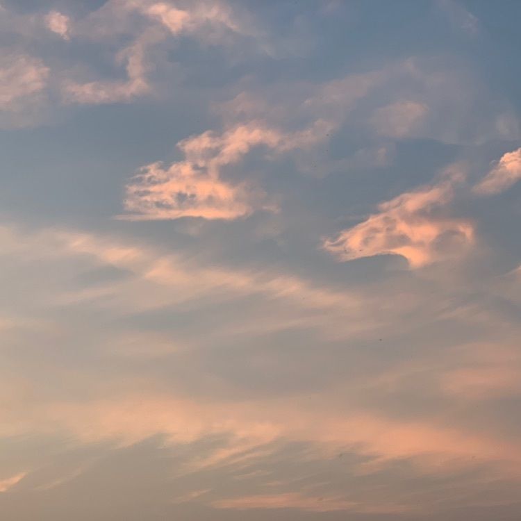KENさんが投稿した出雲空港ホテルに関する口コミの画像