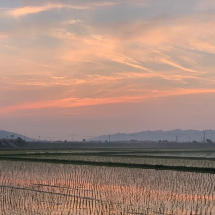 KENさんが投稿した出雲空港ホテルに関する口コミの画像