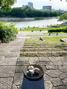 ベーカリーゾウ(bakery ZOU) 7枚目