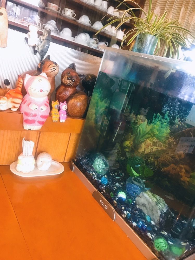 猫なぎ。さんが投稿したポエムに関する口コミの画像