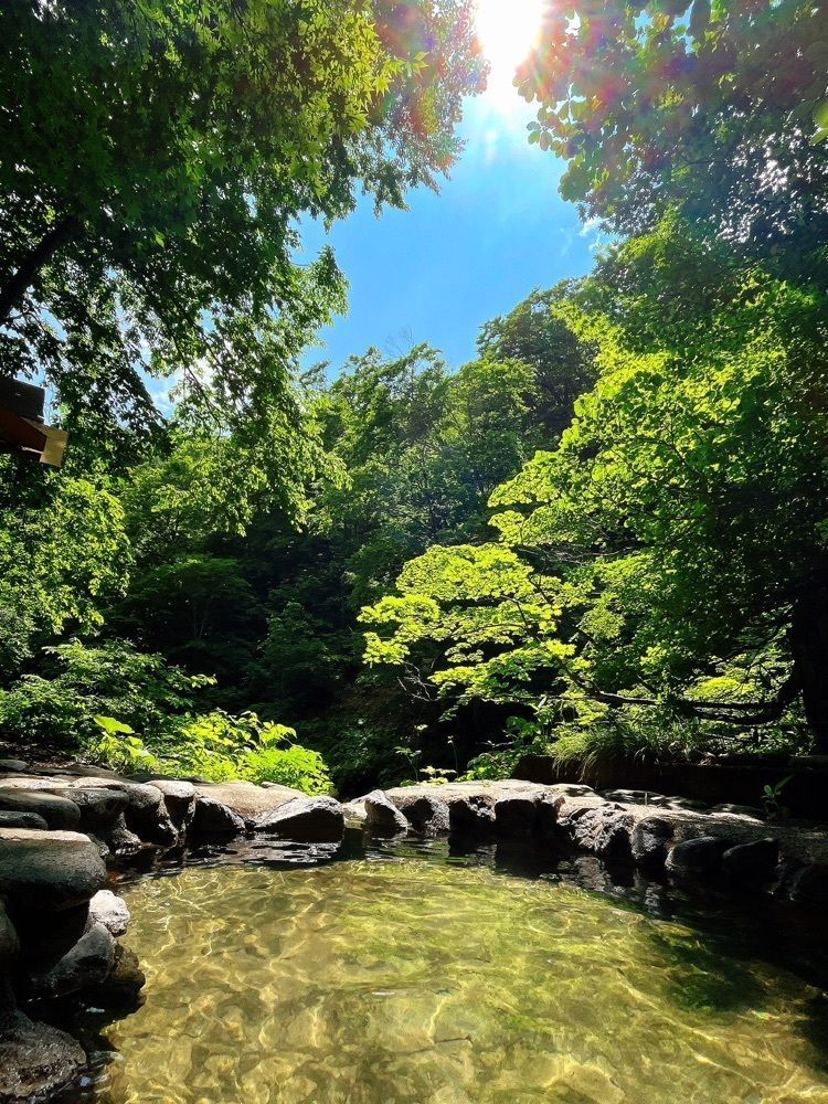 猫なぎ。さんが投稿した湯浜温泉三浦旅館に関する口コミの画像