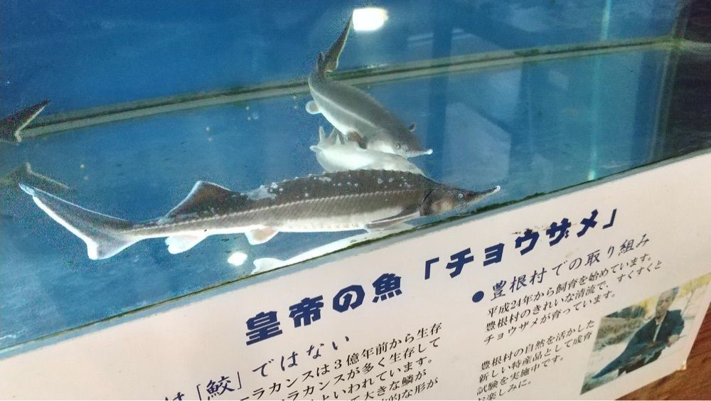 ＤＪゴン太さんが投稿した兎鹿嶋温泉に関する口コミの画像