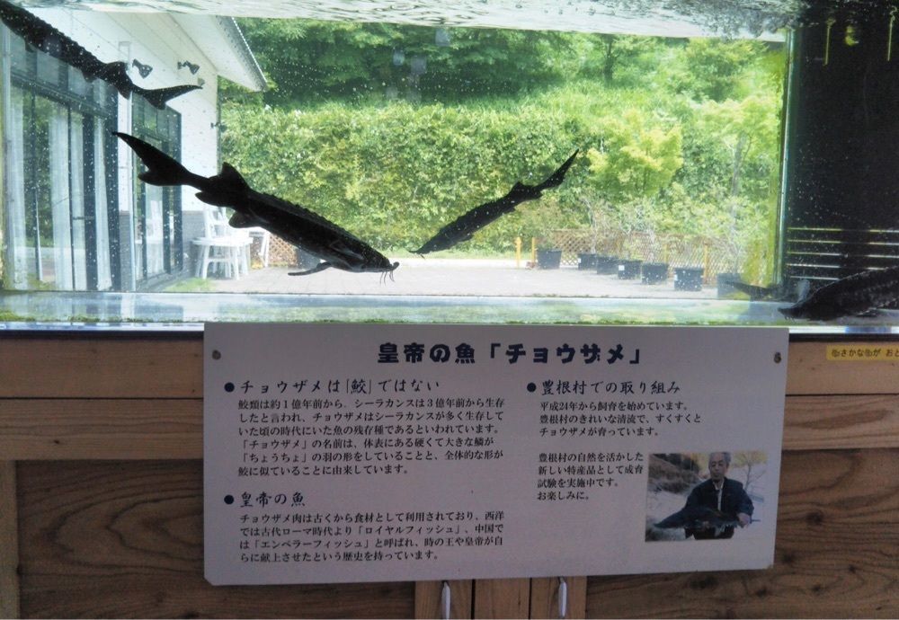 ＤＪゴン太さんが投稿した兎鹿嶋温泉に関する口コミの画像