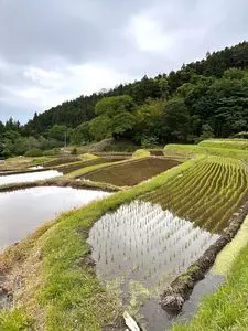 薄根地域ふるさと創生推進協議会