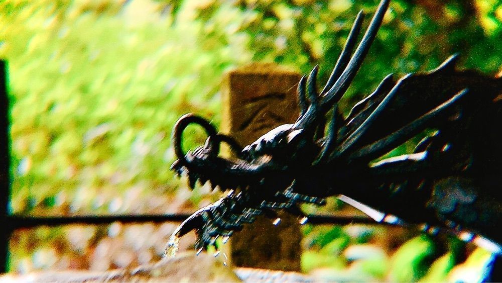 兎きちさんが投稿した諏訪神社（宮崎県国富町）に関する口コミの画像