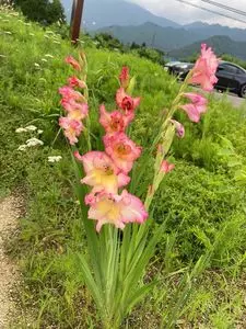 安曇野ちひろ公園