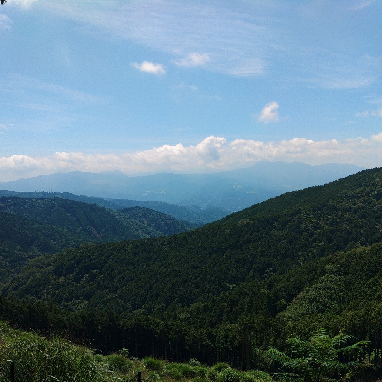 タッキーさんが投稿した不老山に関する口コミの画像