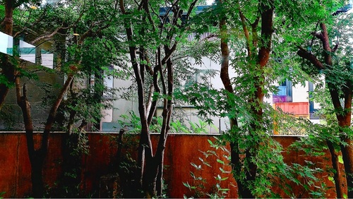 クレイトンハウス 大島本店 4枚目