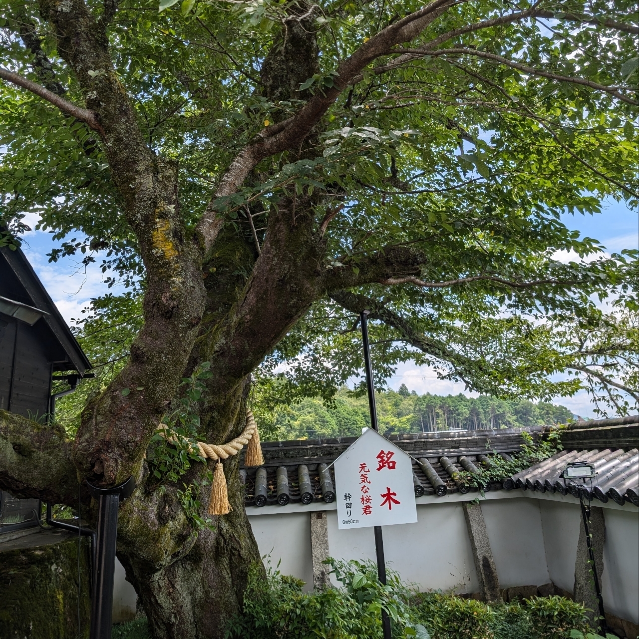 ぬっくさんが投稿した福知山温泉養老の湯に関する口コミの画像