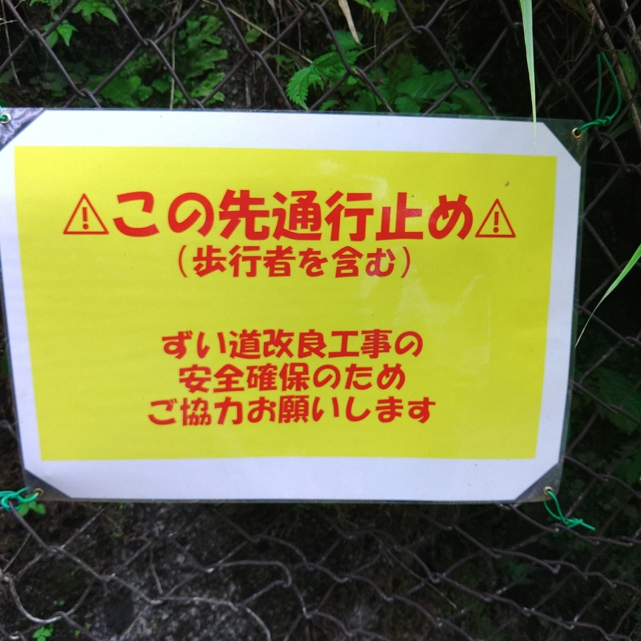 タッキーさんが投稿したユーシン渓谷に関する口コミの画像