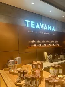 スターバックス・コーヒー 六本木ヒルズ メトロハット・ハリウッドプラザ店（STARBUCKS COFFEE）