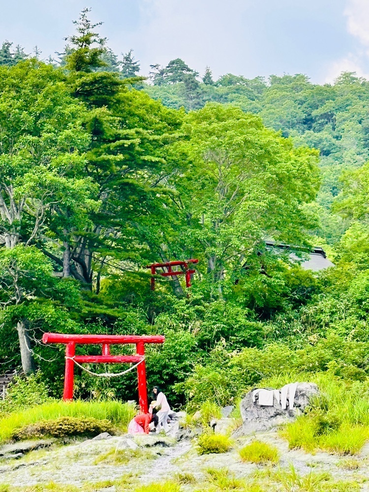 かめ_メグミさんが投稿した玉川温泉大噴湯に関する口コミの画像