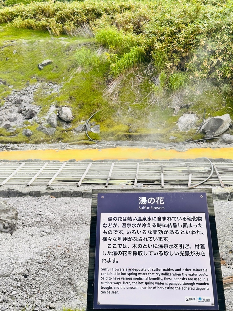 かめ_メグミさんが投稿した玉川温泉大噴湯に関する口コミの画像