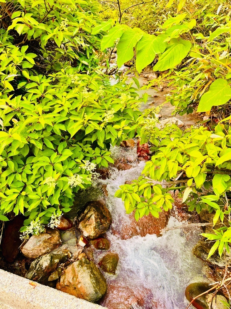 かめ_メグミさんが投稿した玉川温泉大噴湯に関する口コミの画像