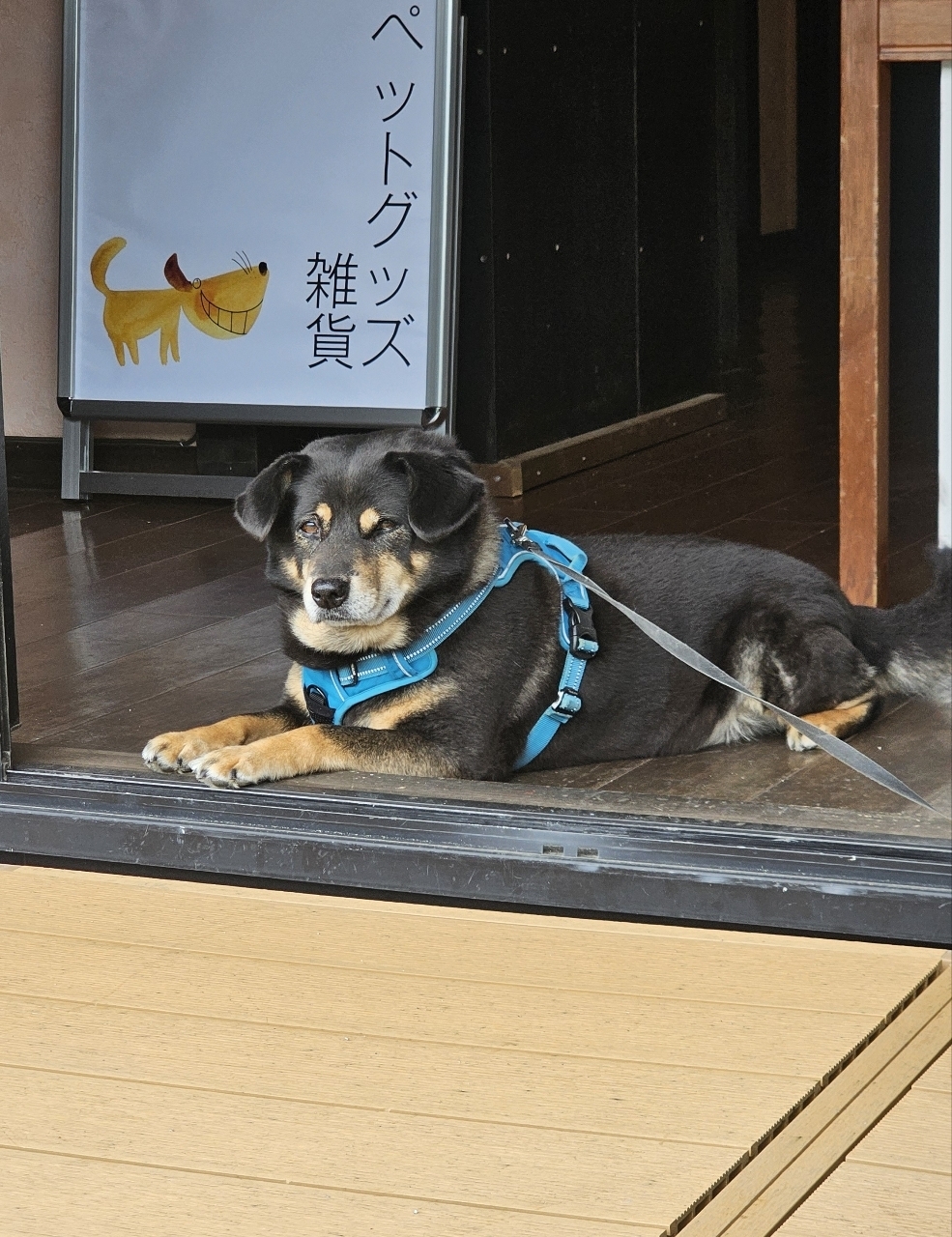 ビーグルボーイさんが投稿したリッカ ナス ヒュッテ（Licca NASU HUTTE）に関する口コミの画像
