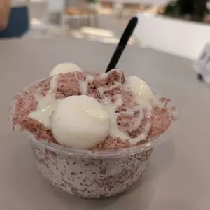 ワカサノパンヤ