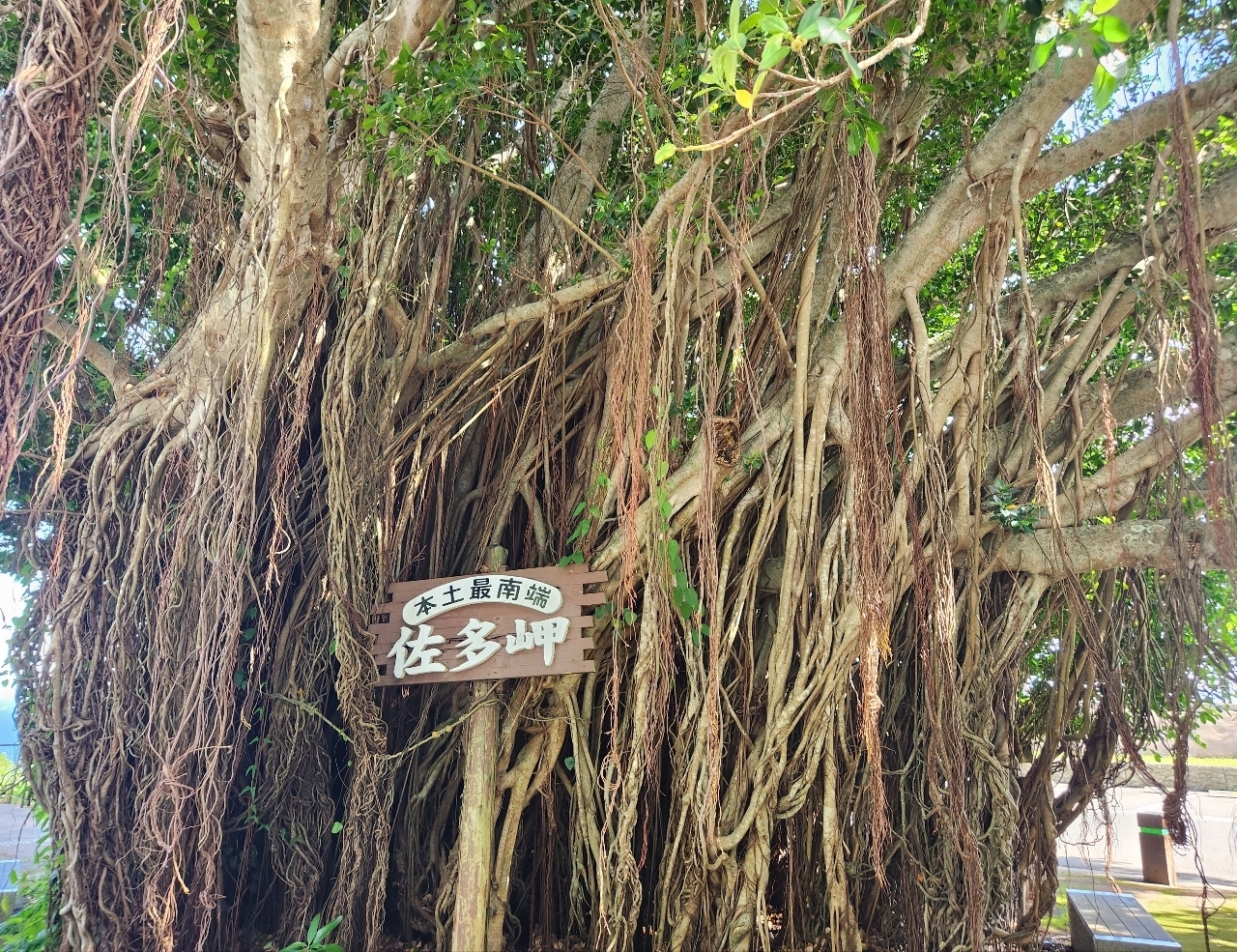 kohchanさんが投稿した佐多岬に関する口コミの画像