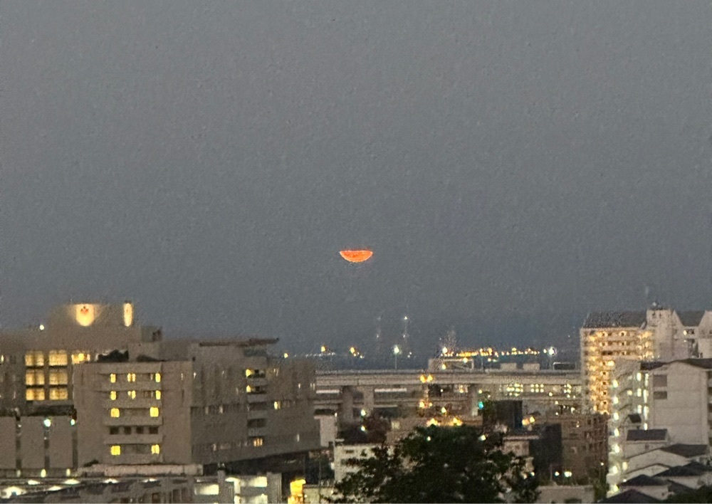 カズ兄さんが投稿した港の見える丘公園に関する口コミの画像