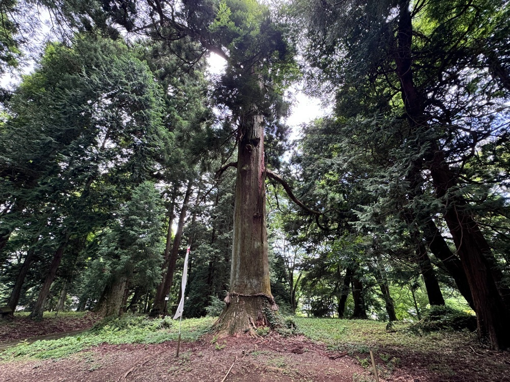 満腹次郎0843さんが投稿した白河の関跡に関する口コミの画像