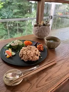 シロテナリ