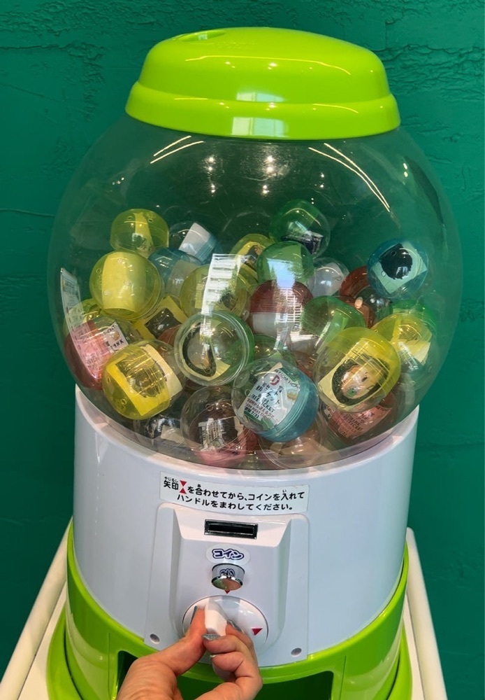 居眠ぱんださんが投稿したANAKUMA CAFE 原宿店（アナクマ カフェ）に関する口コミの画像