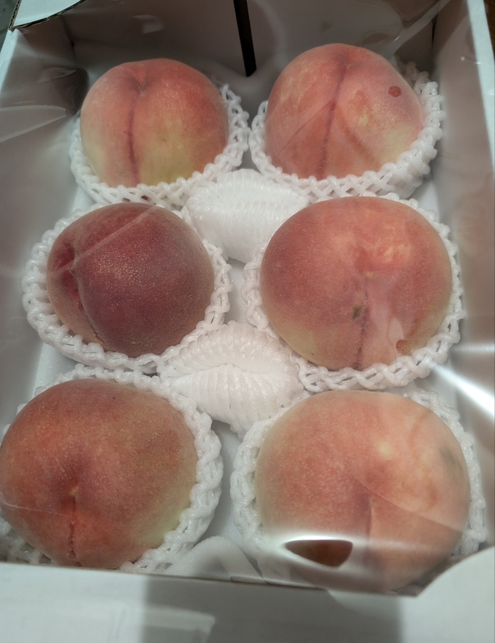 ぬっくさんが投稿しためっけもん広場に関する口コミの画像