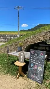SUNNYSIDE FIELDS（サニーサイドフィールズ）