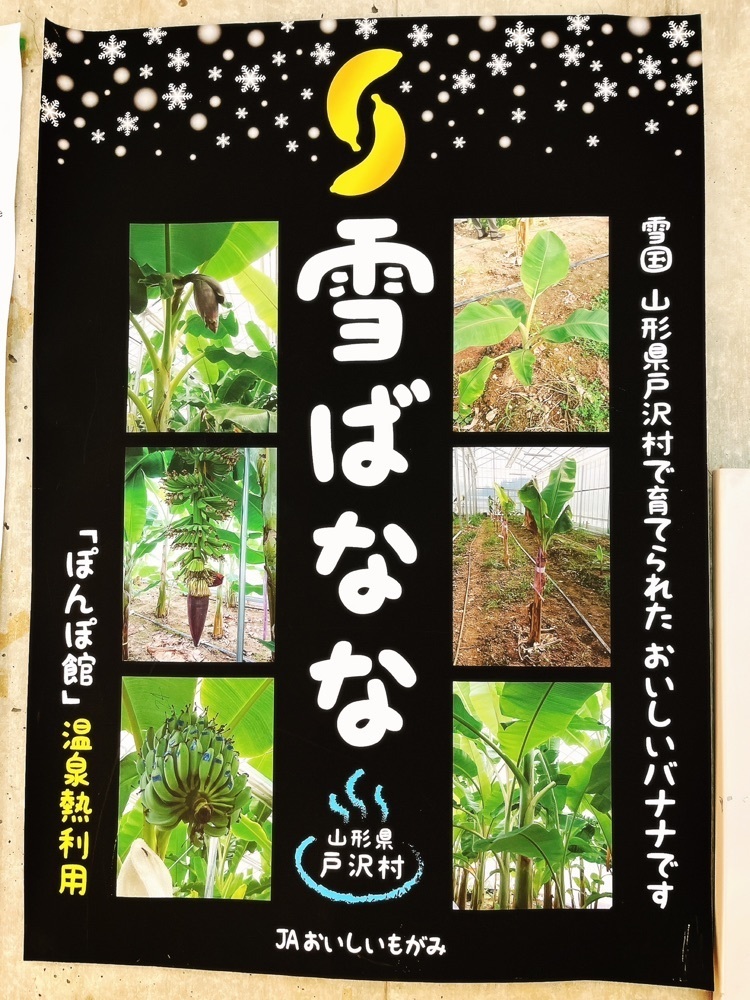猫なぎ。さんが投稿したいきいきランドぽんぽ館に関する口コミの画像