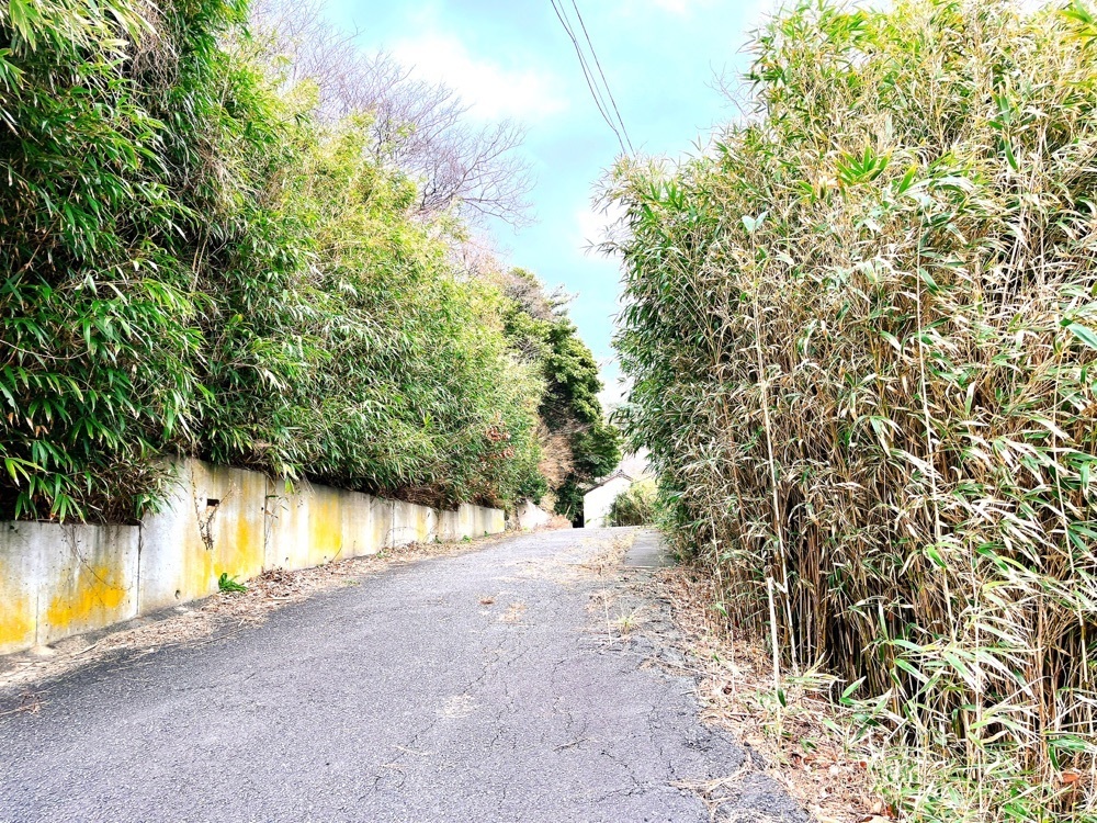 猫なぎ。さんが投稿した奥湯野浜温泉龍の湯に関する口コミの画像
